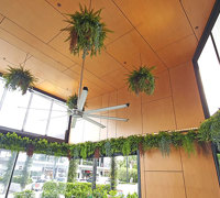 Breezy 'green-curtain' for popular Cafe...