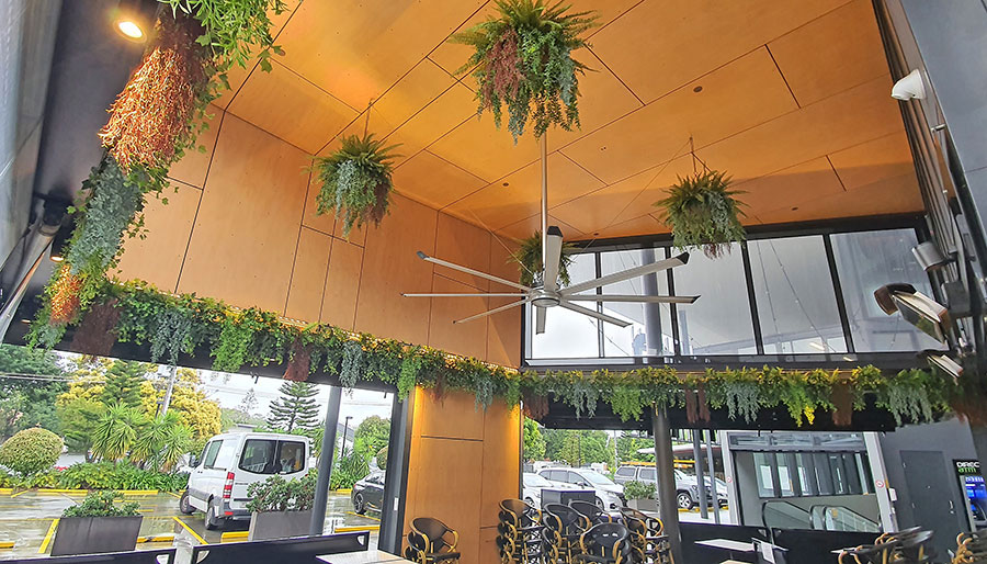 Breezy 'green-curtain' for popular Cafe...