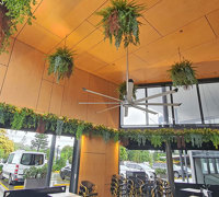 Breezy 'green-curtain' for popular Cafe...