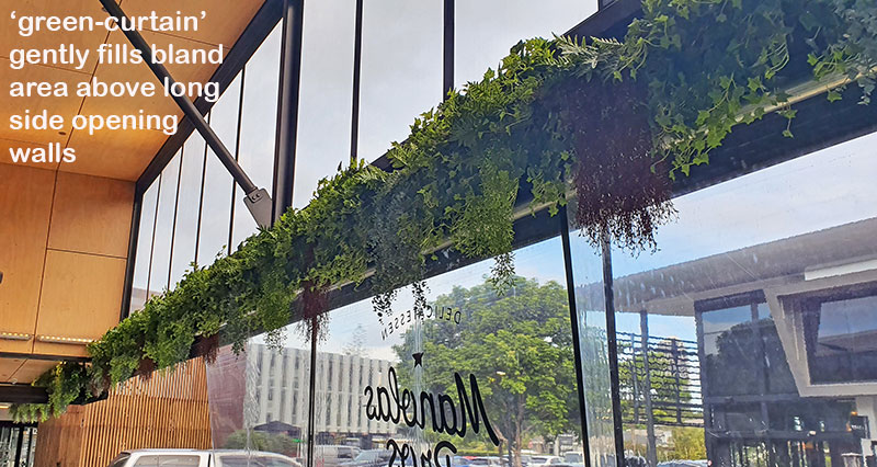 Breezy 'green-curtain' for popular Cafe...