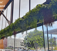 Breezy 'green-curtain' for popular Cafe...