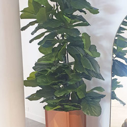 Fiddle-Leaf Ficus 'giant-leaf' 1.6m - artificial plants, flowers & trees - image 6