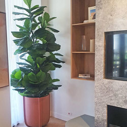 Fiddle-Leaf Ficus 'giant-leaf' 1.6m - artificial plants, flowers & trees - image 4