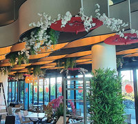 Greenery enhances Restaurant theme...