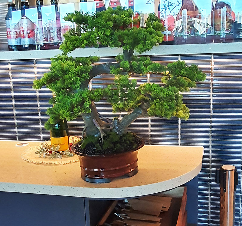 Greenery enhances Restaurant theme...