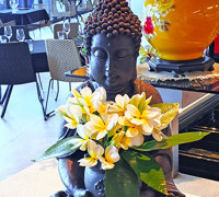 Greenery enhances Restaurant theme...
