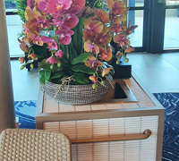 Greenery enhances Restaurant theme...