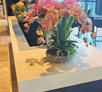 Greenery enhances Restaurant theme...
