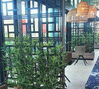 Greenery enhances Restaurant theme...