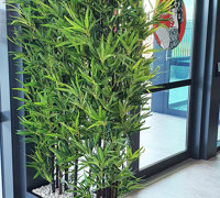 Greenery enhances Restaurant theme...
