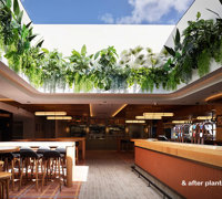 Impressive Tavern Refurb using Artificial Greenery overhead effectively...