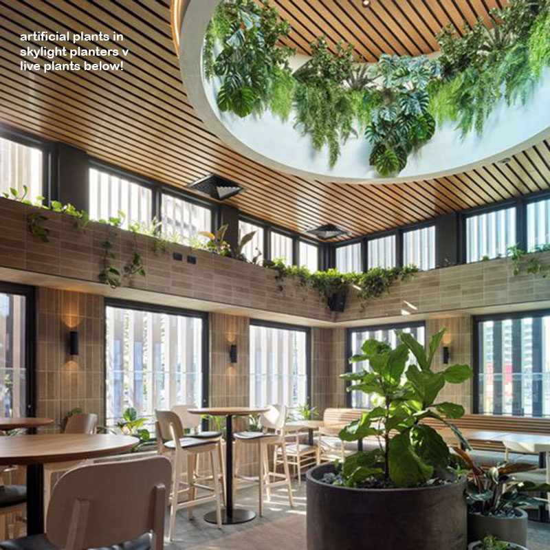 Impressive Tavern Refurb using Artificial Greenery overhead effectively...