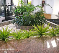 UV treated Palms for planter by sunny window