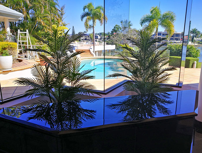 UV treated Palms for planter by sunny window