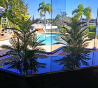 UV treated Palms for planter by sunny window