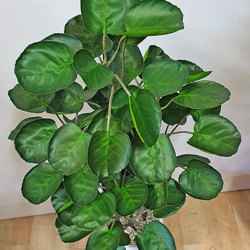 Money Plant 1m - artificial plants, flowers & trees - image 2