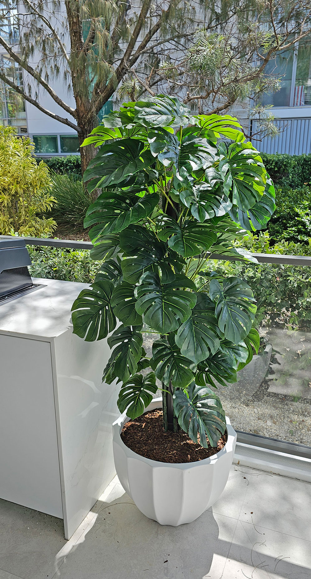 Monsterio UV-treated 1.2m