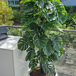 Monsterio UV-treated 1.2m - artificial plants, flowers & trees - image 4