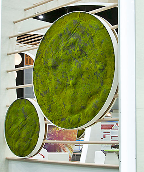 Moss Circles for Display Module