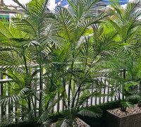 Green balcony privacy screen with UV-treated palms