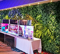 Raised Planter & Green-Wall in Club Foyer
