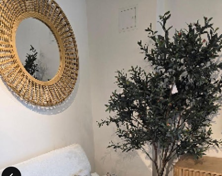 Image 2 for Artificial Olive Tree Australia – Premium Realistic Indoor Trees (2 Images)