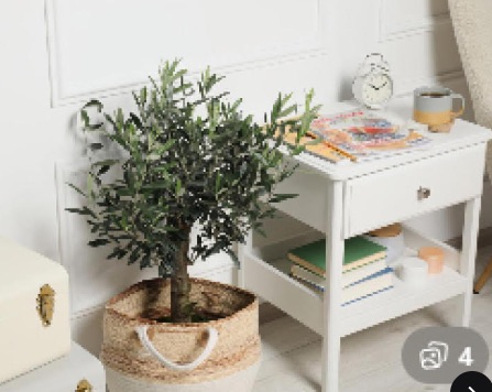 Image for Artificial Olive Tree Australia – Premium Realistic Indoor Trees (1 Image)