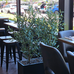 Trough Planters- with Olive Trees 1.4m tall - artificial plants, flowers & trees - image 1