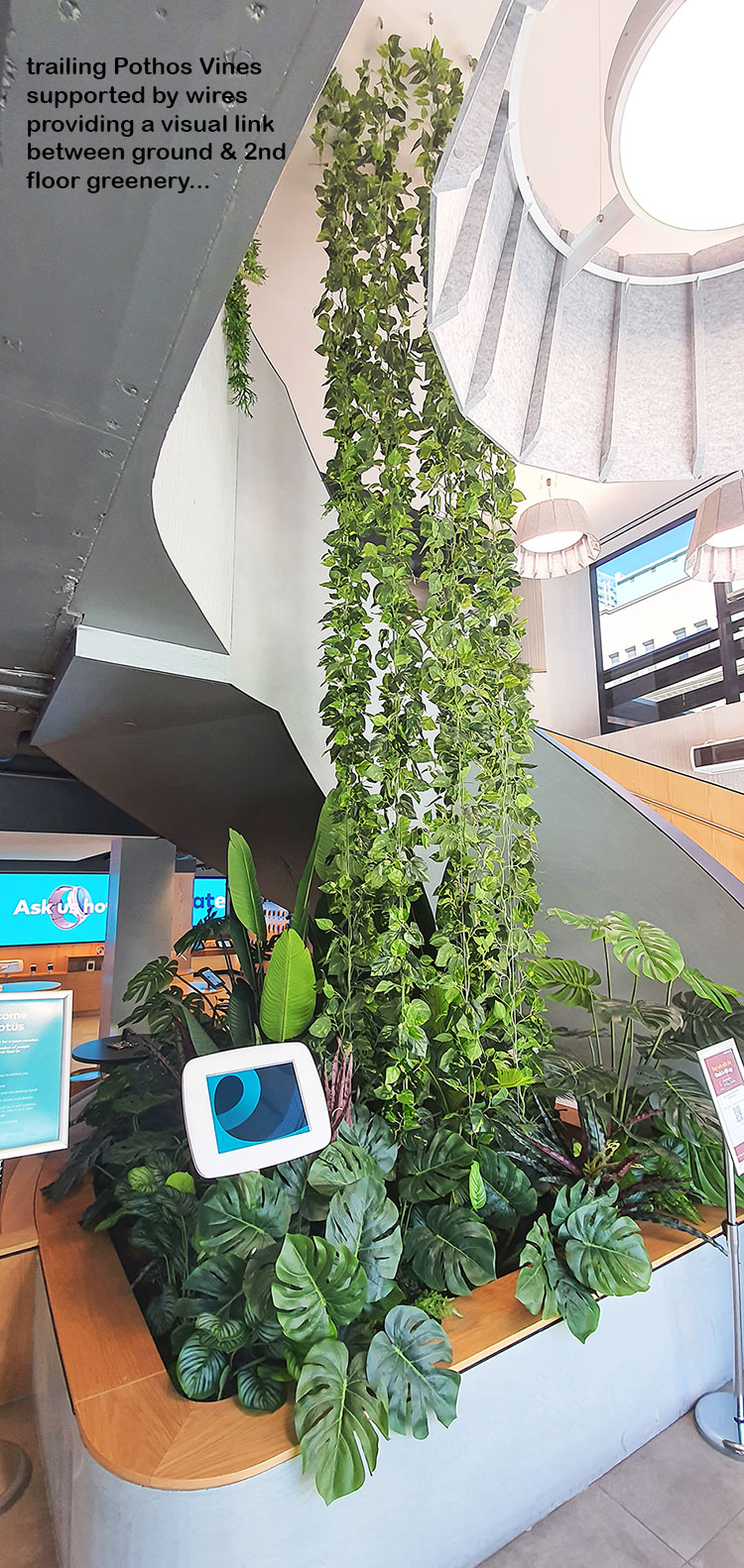 'Screens meet Greens' at flagship tech store...
