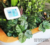 'Screens meet Greens' at flagship tech store...