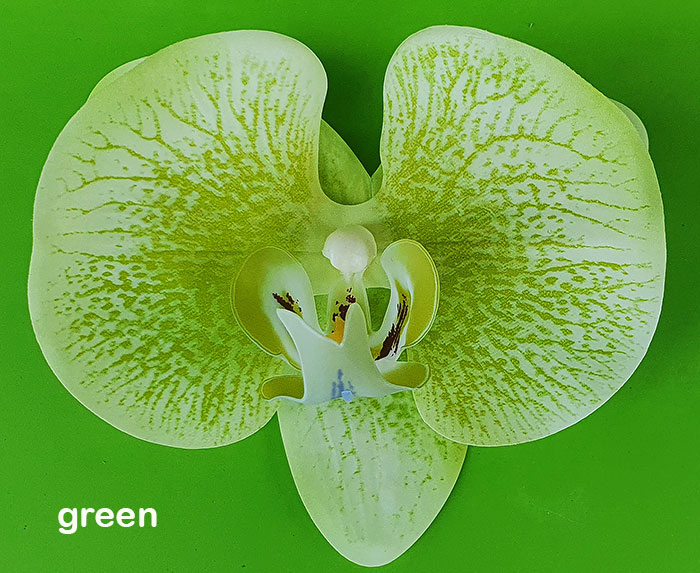 Artificial Butterfly Orchid Bowls- green