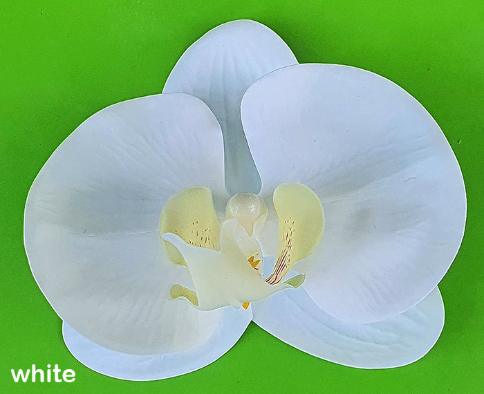 Artificial Butterfly Orchid Bowls- green