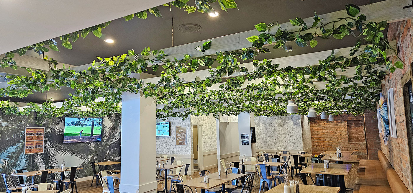 Trailing Vines - 1.8m Philo Garland [philodendron]