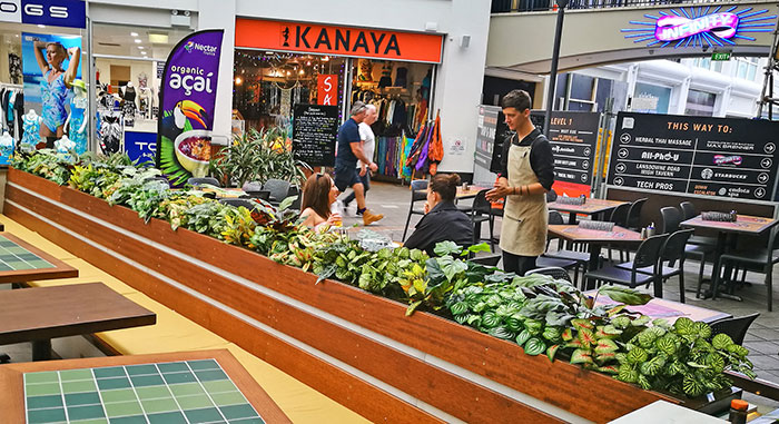Window-Box planters in Restaurant