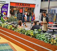 Window-Box planters in Restaurant