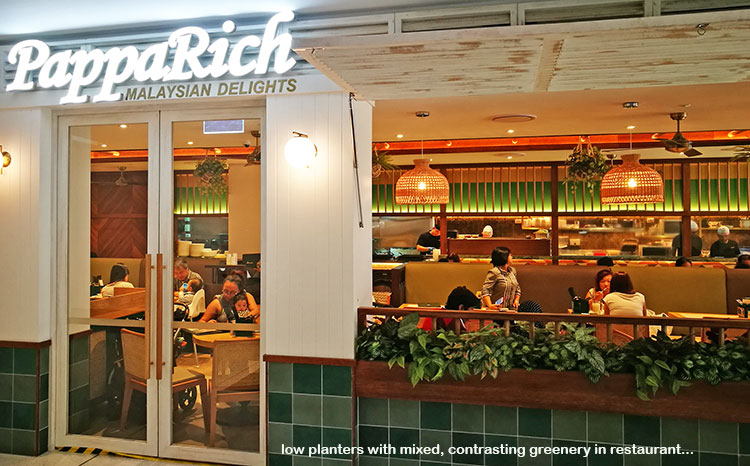 Window-Box planters in Restaurant