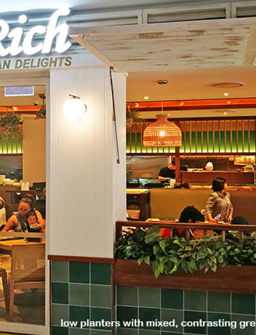 Window-Box planters in Restaurant
