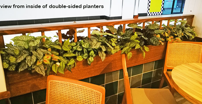 Window-Box planters in Restaurant