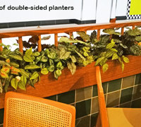 Window-Box planters in Restaurant
