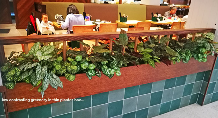 Window-Box planters in Restaurant