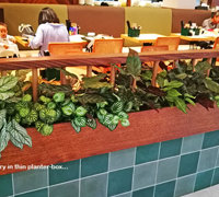 Window-Box planters in Restaurant