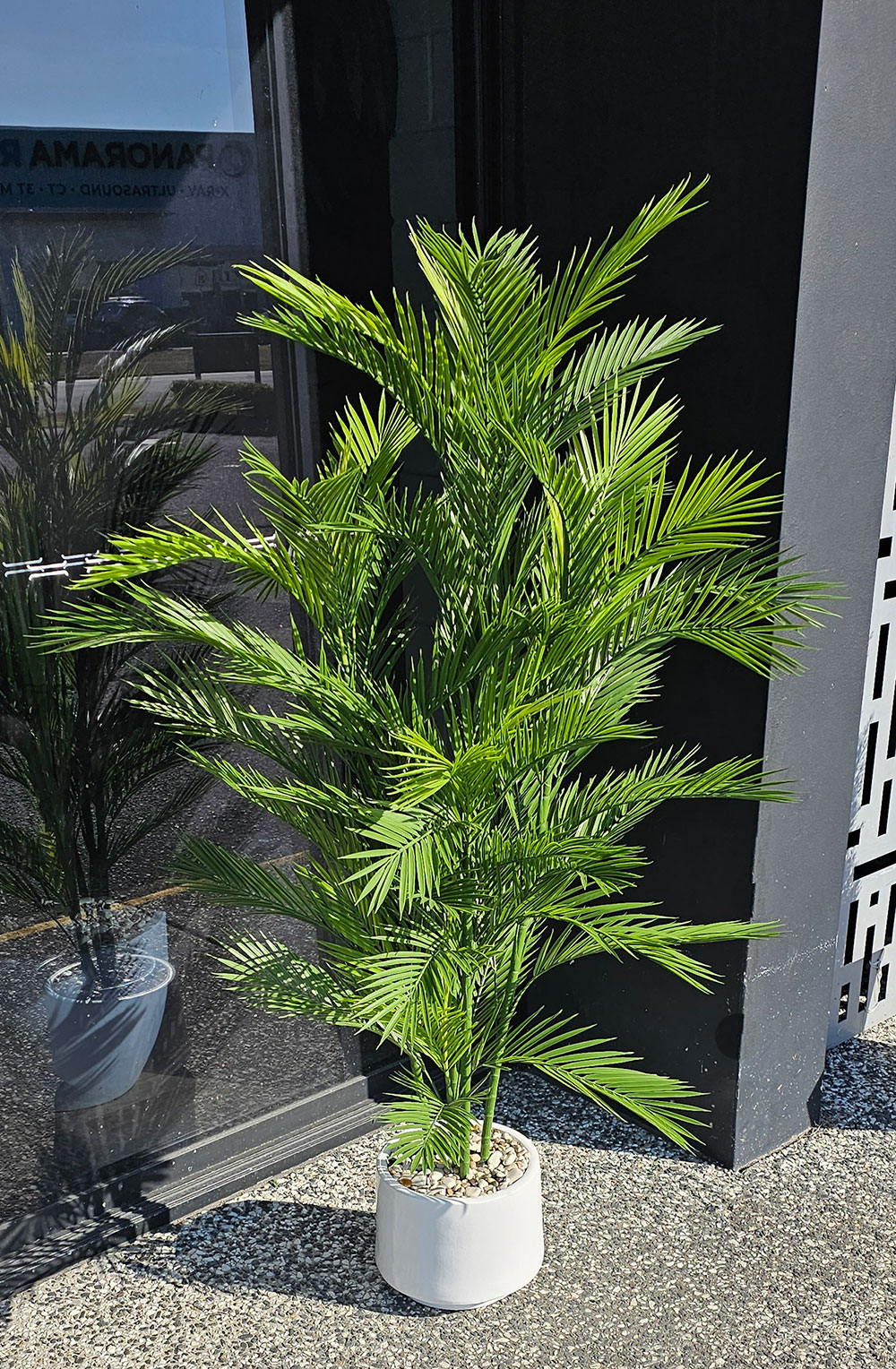 Parlour Palm UV 1.9m