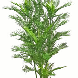 Parlour Palm UV 1.9m - artificial plants, flowers & trees - image 9