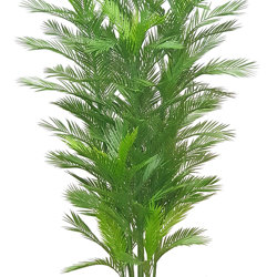 Parlour Palm UV 0.9m - artificial plants, flowers & trees - image 2