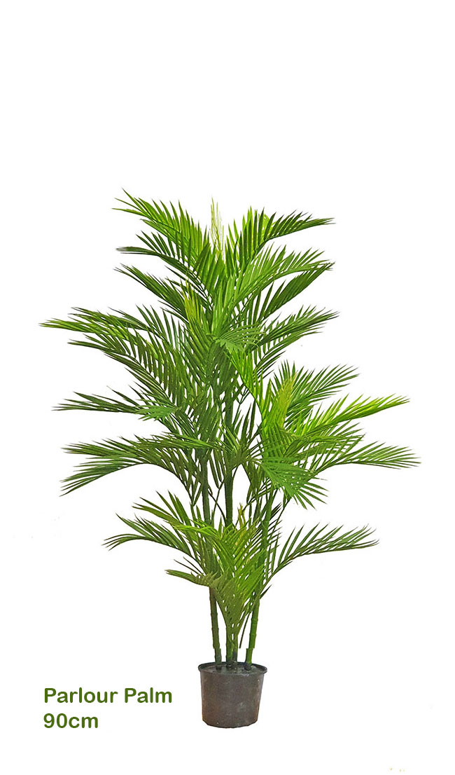 Parlour Palm UV 0.9m