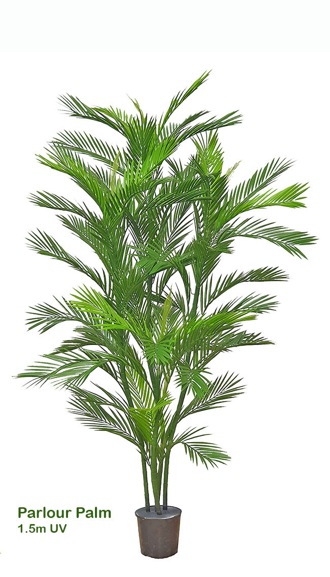 Parlour Palm UV 0.9m