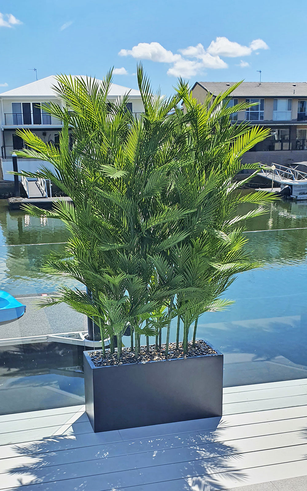 Trough Planters- with UV Parlour Palms 1.8m tall