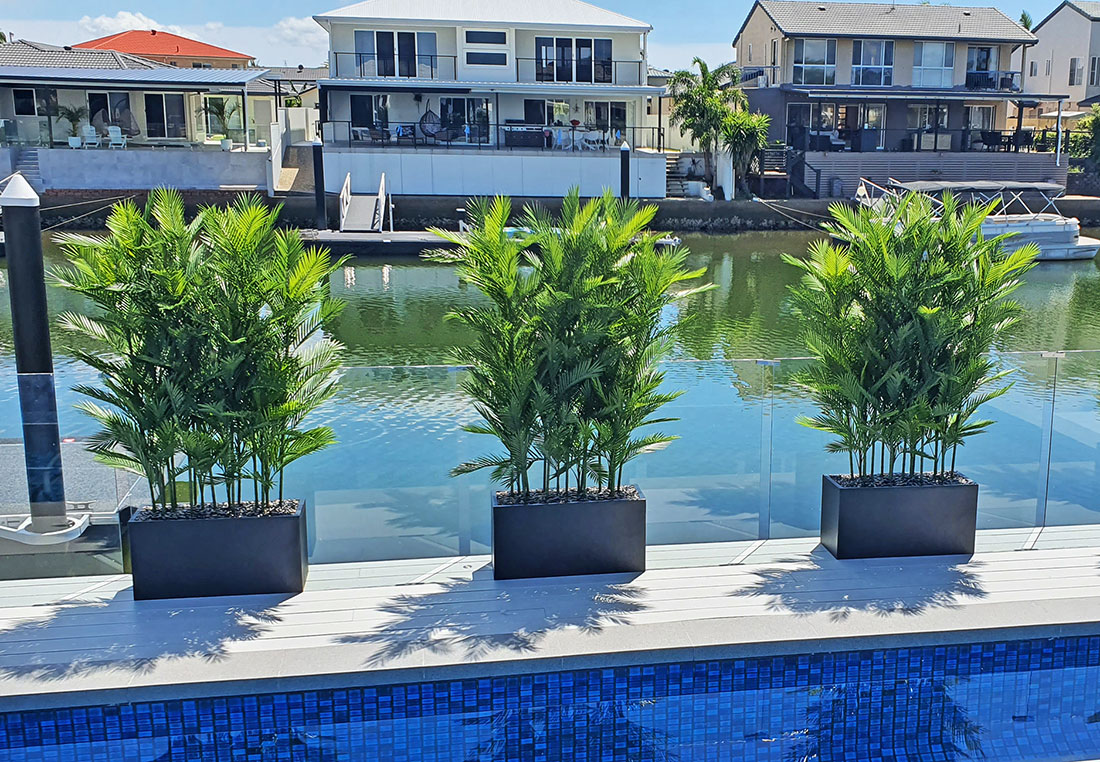 Trough Planters- with UV Parlour Palms 1.8m tall