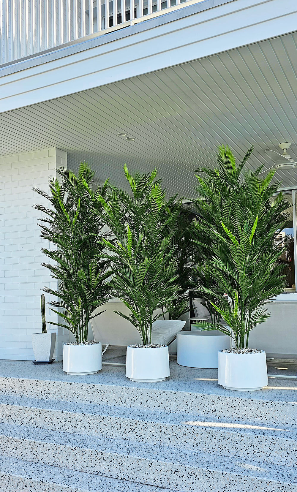 Parlour Palm UV 1.9m