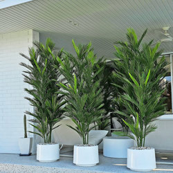 Parlour Palm UV 1.9m - artificial plants, flowers & trees - image 5